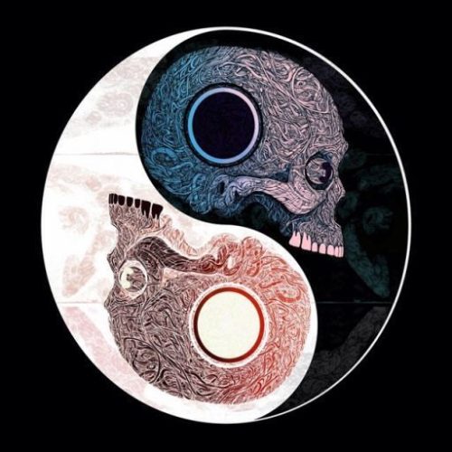 067f88ce85fdf709823cfca2279a3a99